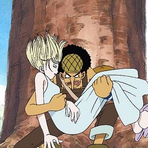 Photo One Piece