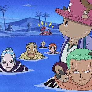 Photo One Piece