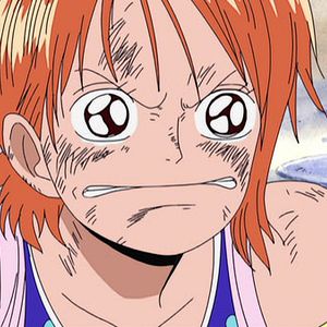 Photo One Piece