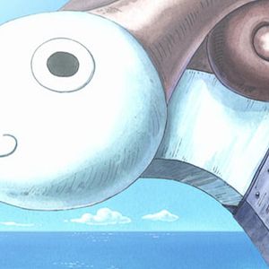 Photo One Piece