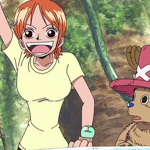 Photo One Piece