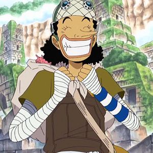 Photo One Piece