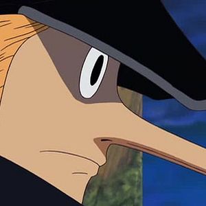 Photo One Piece