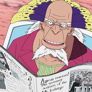 Photo One Piece
