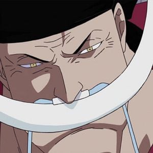 Photo One Piece