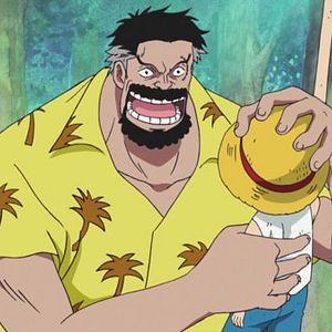 Photo One Piece
