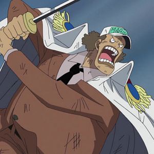 Photo One Piece