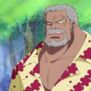 Photo One Piece