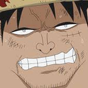 Photo One Piece