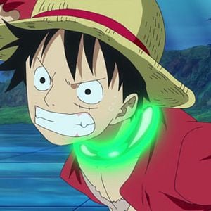 Photo One Piece