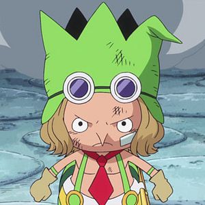 Photo One Piece