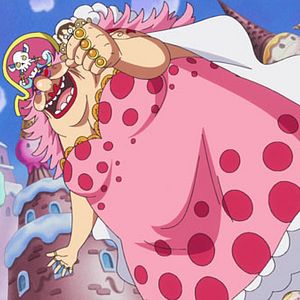 Photo One Piece