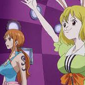 Photo One Piece