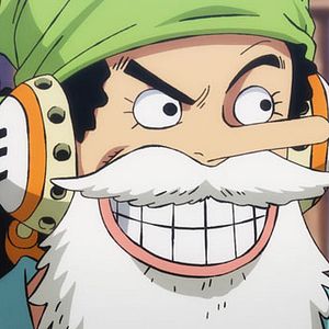 Photo One Piece