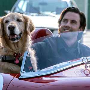 Photo Dans les yeux d'Enzo