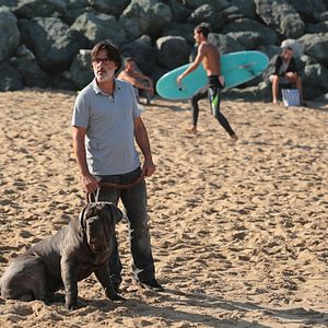 Photo Mon chien Stupide