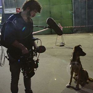 Photo Space Dogs