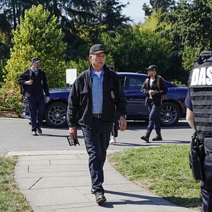 Photo Mark Harmon