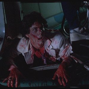 Photo Extra sangsues