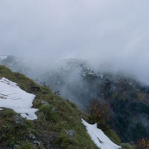 Photo Marche avec les loups