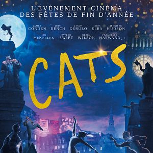 Photo Cats