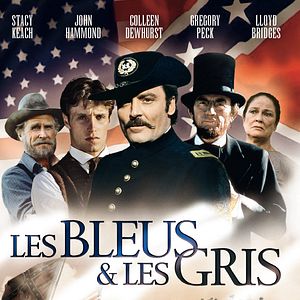 Photo Les Bleus et les Gris