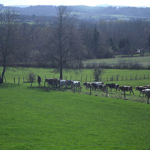 Photo Cyrille, agriculteur, 30 ans, 20 vaches, du lait, du beurre, des dettes