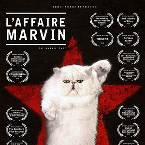 Photo L'Affaire Marvin