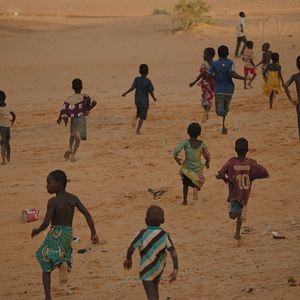 Photo The Great Green Wall