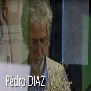 Photo Pédro Diaz Star-Terre