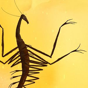 Photo Le Prince Serpent