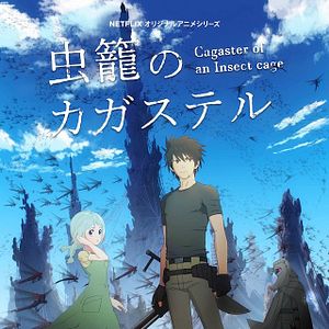 Photo Cagaster of an Insect Cage