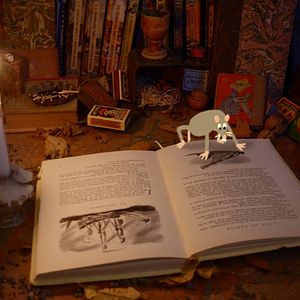 Photo Les Petits contes de la nuit