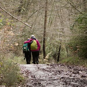 Photo Sur la route de Compostelle