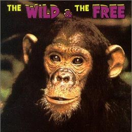 Photo Libre et sauvage