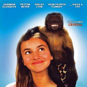 Photo Gibby Un amour de singe