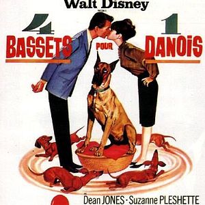 Photo Quatre bassets pour un danois