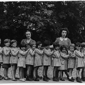 Photo Pingouin & Goéland et leurs 500 petits