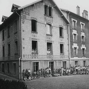 Photo Pingouin & Goéland et leurs 500 petits