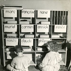 Photo Pingouin & Goéland et leurs 500 petits