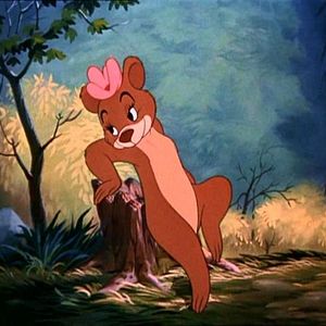 Photo Coquin de printemps