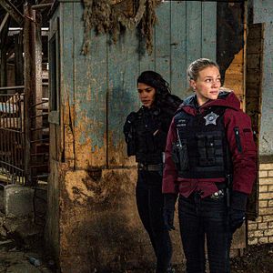 Photo Tracy Spiridakos