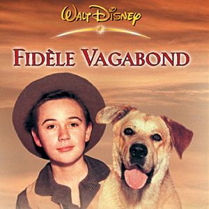 Photo Fidèle vagabond