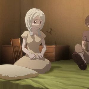 Photo Cagaster of an Insect Cage