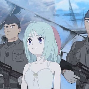 Photo Cagaster of an Insect Cage