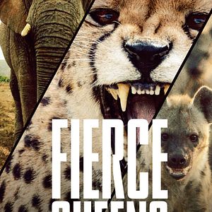 Photo Fierce Queens