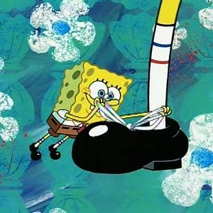 Photo Bob l'éponge