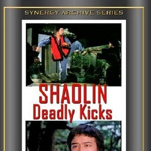 Photo Shaolin contre les 8 serpents