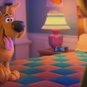 Photo Scooby !