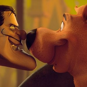 Photo Scooby !